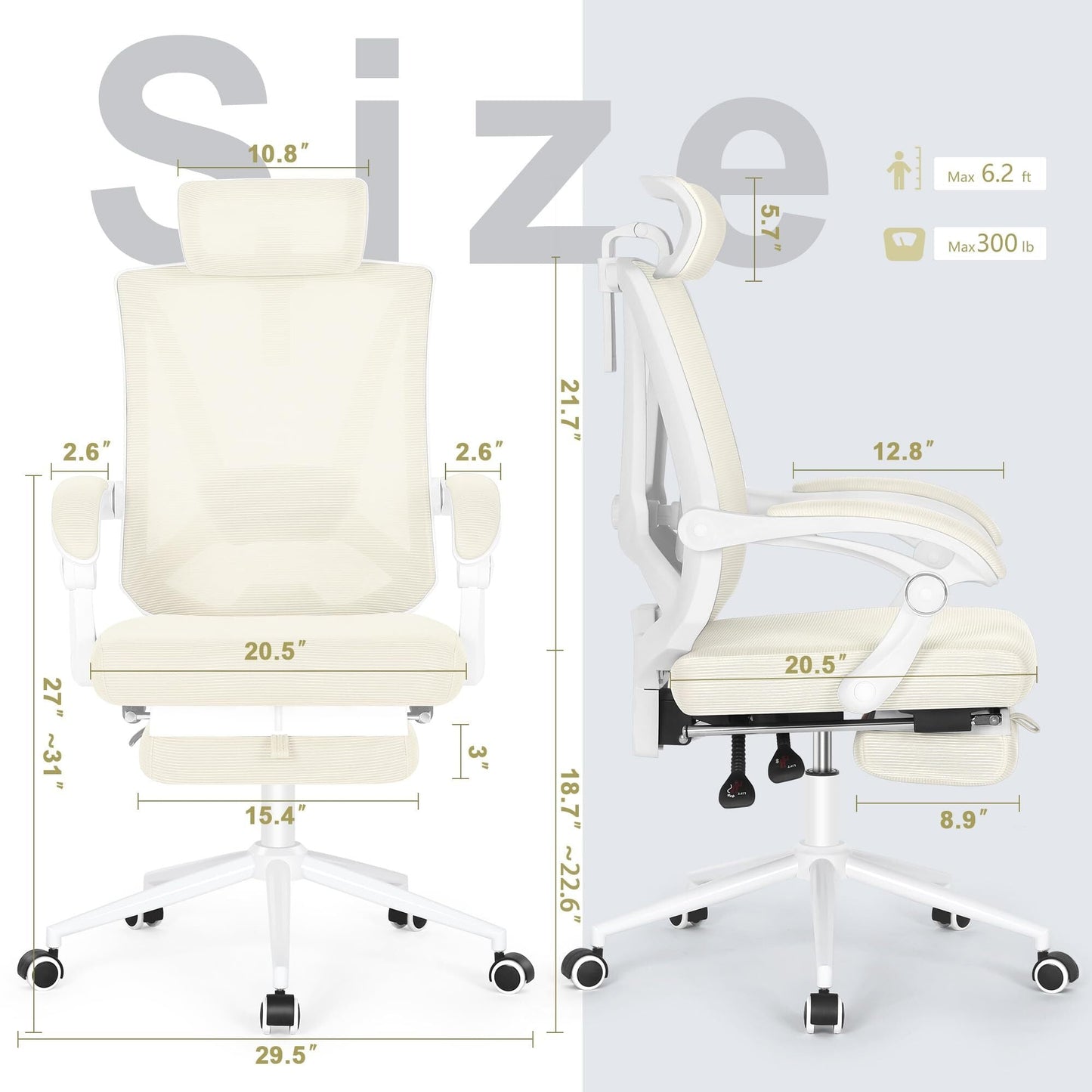 Ergonomic Office Chair with Footrest